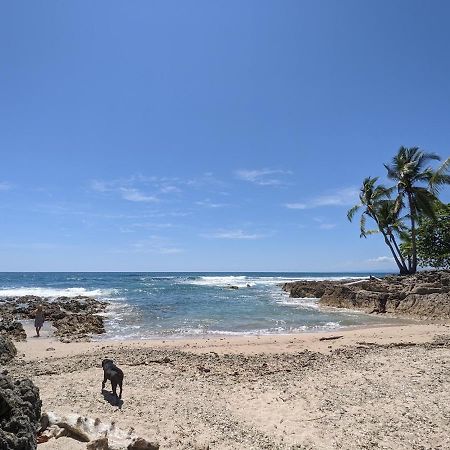 La Sana Surf Hotel - New Management Playa Santa Teresa  외부 사진
